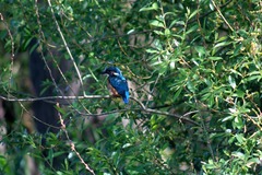 Killikus&reg; Fotographie